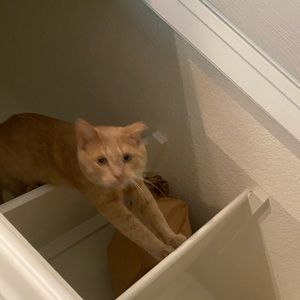 Meet your Posher, Jhandery